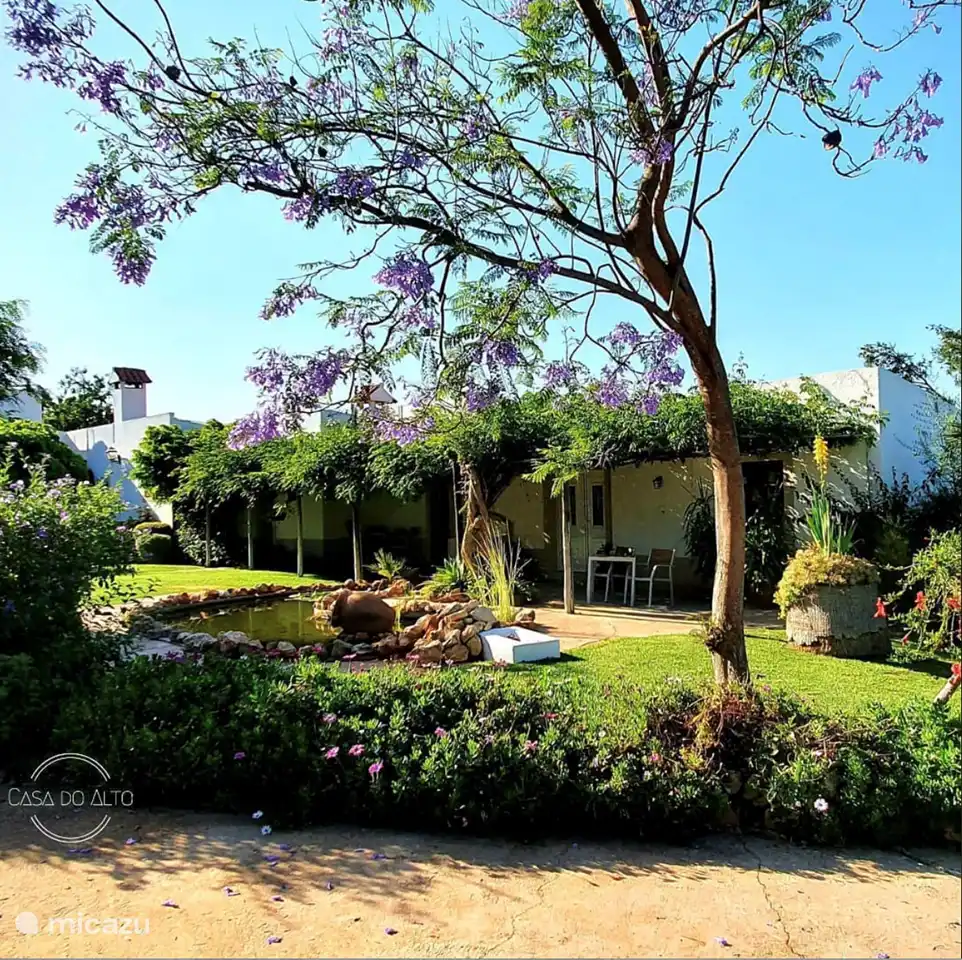 Tranquilo y bellamente ajardinado jardín con estanque. 