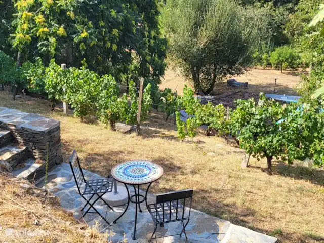 Quinta avec piscine privée | Portugal, Coimbra, Arganil - villa L’un des nombreux coins salon agréables de la quinta.