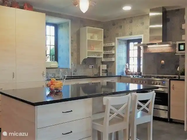 Quinta avec piscine privée | Portugal, Coimbra, Arganil - villa La cuisine a été entièrement rénovée en février 2019 tout en conservant l'ambiance portugaise. Il y a un grand poêle avec 5 brûleurs et un grand four, un îlot avec un bar et un dessus en pierre dure. Bien sûr, il y a un lave-vaisselle et la cuisine est entièrement équipée, comme un réfrigérateur, un congélateur et un micro-ondes.