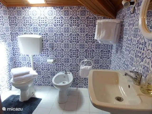 Quinta avec piscine privée | Portugal, Coimbra, Arganil - villa Salle de bain de style portugais