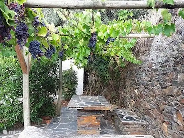Quinta avec piscine privée | Portugal, Coimbra, Arganil - villa Assis sous les vignes