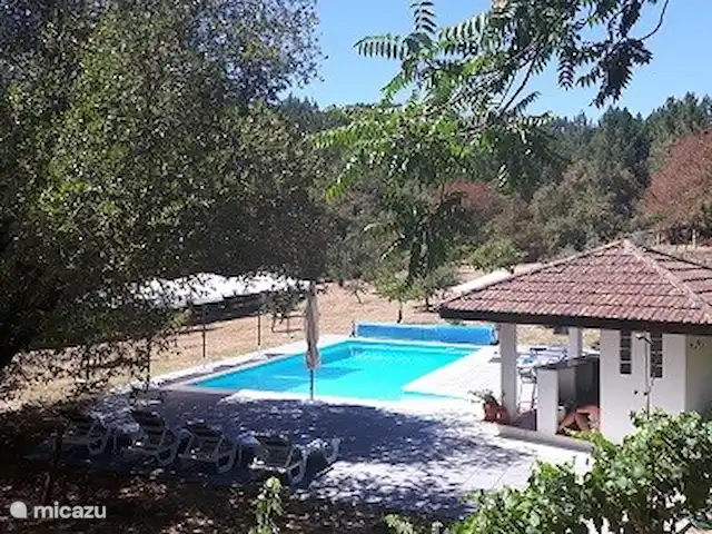 Quinta avec piscine privée | Portugal, Coimbra, Arganil - villa Piscine avec pool house comprenant bar et toilettes