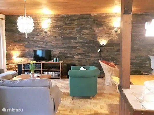 Quinta avec piscine privée | Portugal, Coimbra, Arganil - villa Villa de salon avec télévision néerlandaise et divers DVD. De plus, il y a internet rapide (fibre optique)