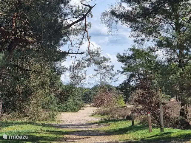Maison de vacances contemporaine dans la Veluwe | Pays-Bas, Gueldre, Otterlo - chalet Promenade nature directement derrière le parc (chemin des sabots)