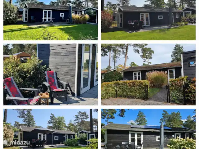 Maison de vacances contemporaine dans la Veluwe | Pays-Bas, Gueldre, Otterlo - chalet Impression