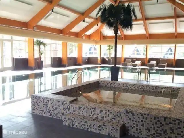 Maison de vacances contemporaine dans la Veluwe | Pays-Bas, Gueldre, Otterlo - chalet Piscine intérieure avec bassin pour enfants