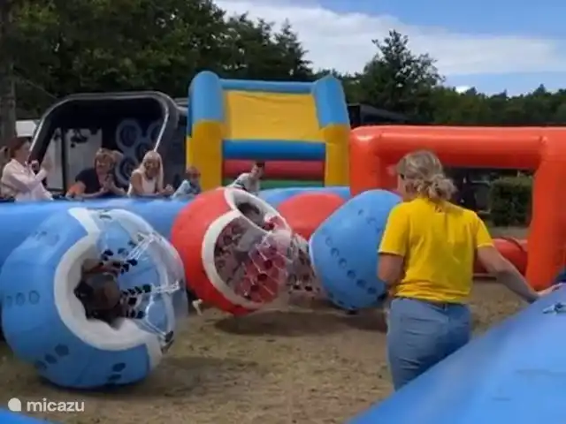 Maison de vacances contemporaine dans la Veluwe | Pays-Bas, Gueldre, Otterlo - chalet Animation supplémentaire pendant la période des fêtes
