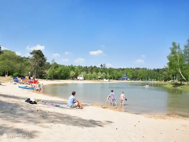 Maison de vacances contemporaine dans la Veluwe | Pays-Bas, Gueldre, Otterlo - chalet lac récréatif, baignade ou souper