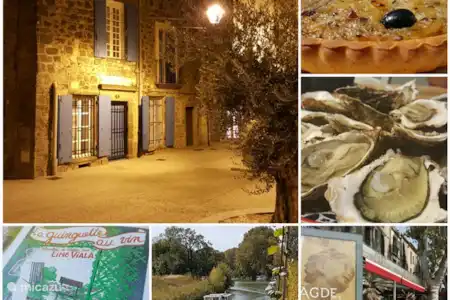 Vakantiehuis Frankrijk, Hérault, Agde vakantiehuis Gîte Rue Blanqui Gezellige indruk