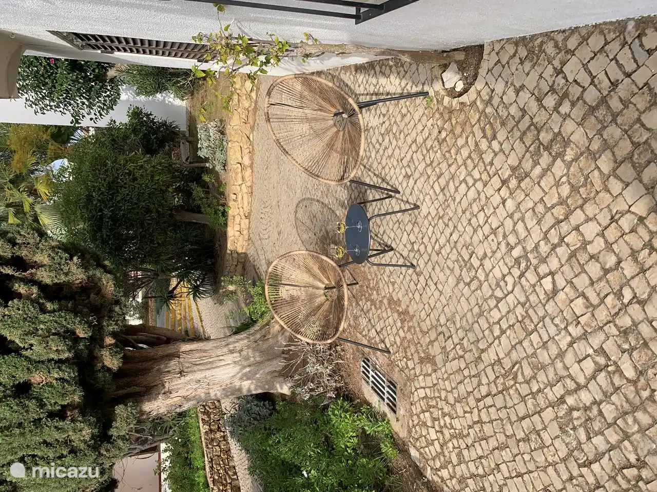 Terrasse à l'arrière