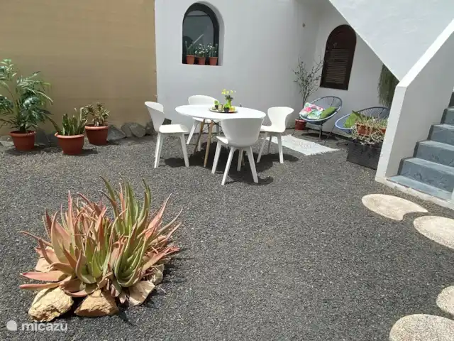 Maison50m de la mer+piscine+jardin+terrasse sur le toit | Espagne, Fuerteventura, Corralejo - maison de vacances Jardin spacieux et sans vent avec vue sur beaucoup
palmiers