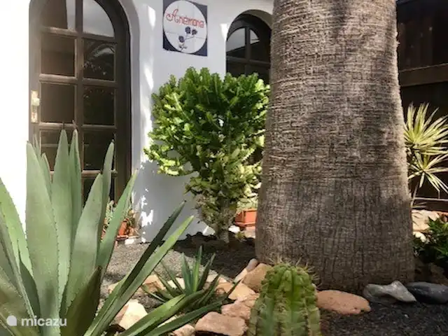 Maison50m de la mer+piscine+jardin+terrasse sur le toit | Espagne, Fuerteventura, Corralejo - maison de vacances Jardin des Canaries Casa Anemona