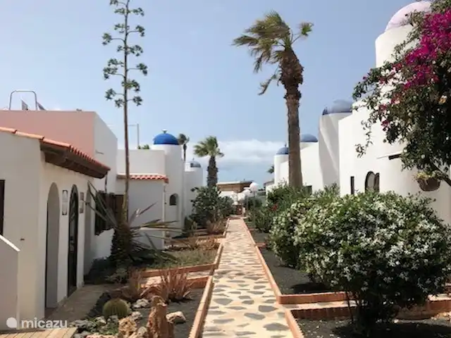 Maison50m de la mer+piscine+jardin+terrasse sur le toit | Espagne, Fuerteventura, Corralejo - maison de vacances Sentier vers la piscine