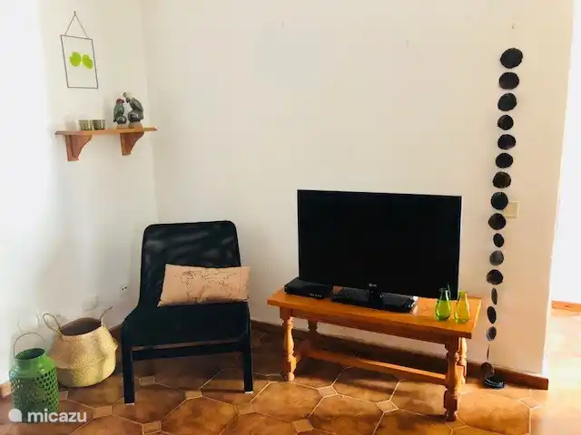 Smart-TV, Netflix. Empfängt kein normales Fernsehen 