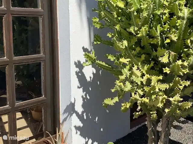Maison50m de la mer+piscine+jardin+terrasse sur le toit | Espagne, Fuerteventura, Corralejo - maison de vacances Entrée