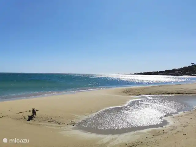 Gîte Domaine L'Oiseau Bleu | France, Côte d'Azur, Sainte-Maxime - villa plage