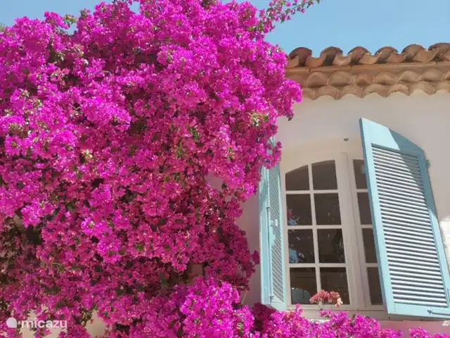 Gîte Domaine L'Oiseau Bleu | France, Côte d'Azur, Sainte-Maxime - villa villa