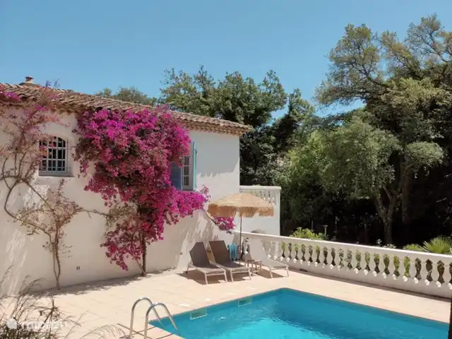 Gîte Domaine L'Oiseau Bleu | France, Côte d'Azur, Sainte-Maxime - villa piscine