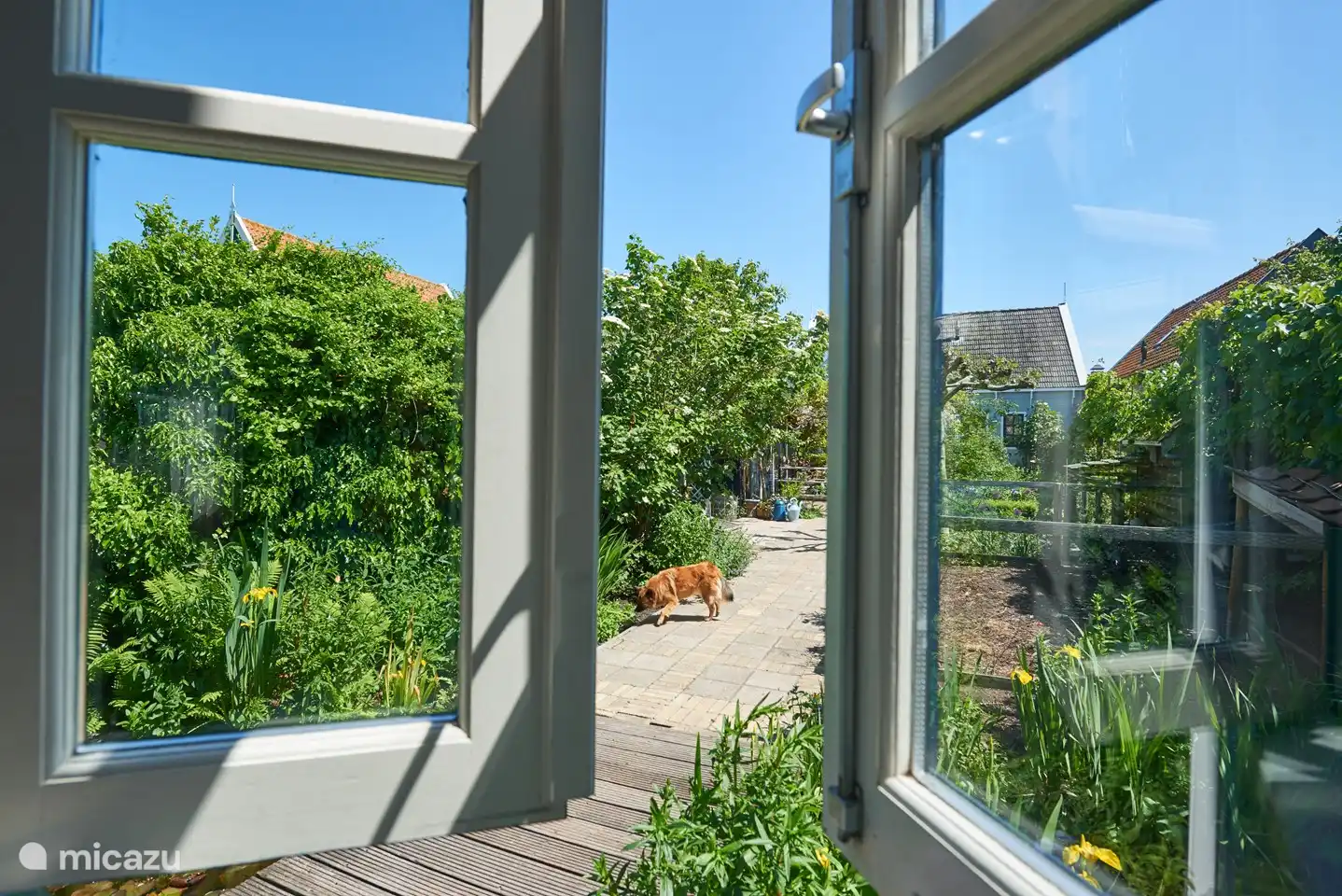 Vue sur le jardin depuis la kitchenette