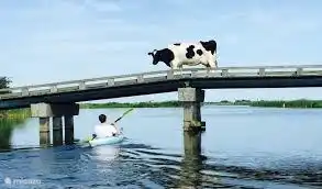 Le paysage des tourbières