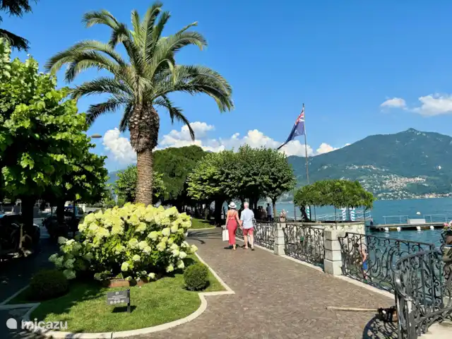 Le Quattro Stagioni Lakeview-beach huren in Italië, Comomeer, Acquaseria - appartement Gezellige promenades langs het meer. 
Palmbomen en een kleurrijke flora.