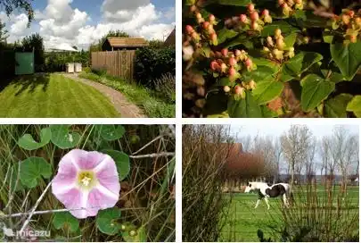 Impressionen vom Garten