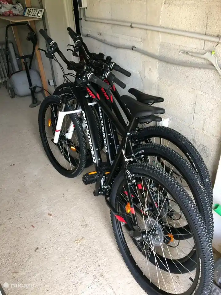 Drei nagelneue Mountainbikes zum Erkunden der Gegend