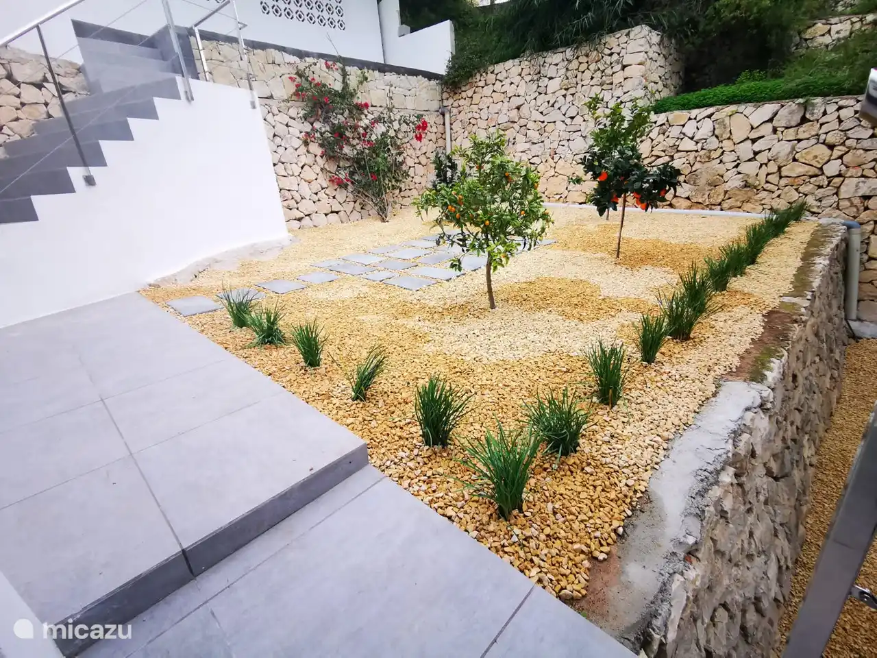 Zitrusbäume vervollständigen den Garten