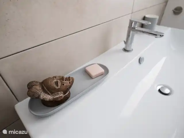 villa huren in Italië, Ligurië, Plodio – Ruime villa tussen zee en wijnstreek Badkamer slaapkamer beneden