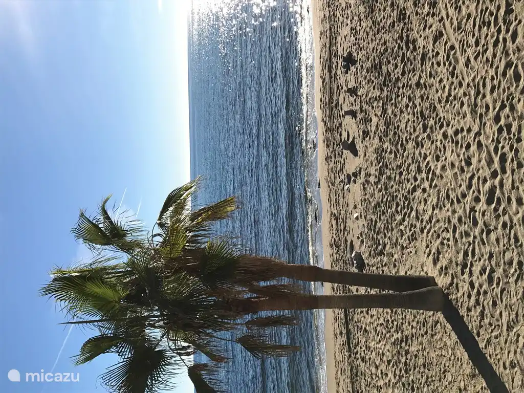 Hay muchas playas por descubrir.