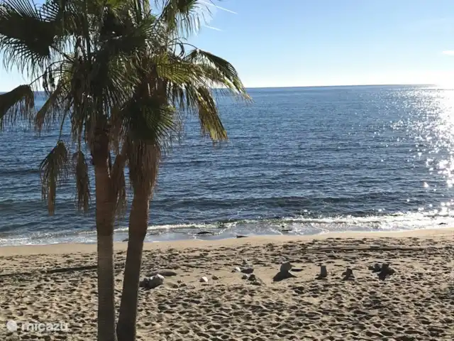 Cornisa, Vista Mar-Piscinas-Privacidad en España, Costa del Sol, Sitio de Calahonda - apartamento Hay muchas playas por descubrir.