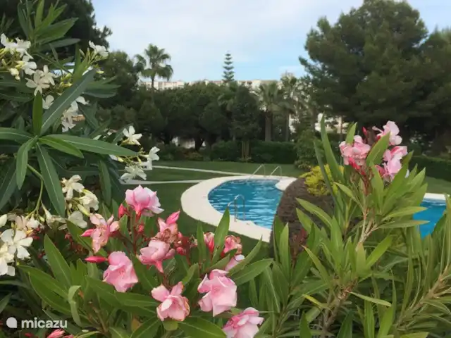 Cornisa, Vista Mar-Piscinas-Privacidad en España, Costa del Sol, Sitio de Calahonda - apartamento Una de las piscinas en los jardines verdes y florecientes.