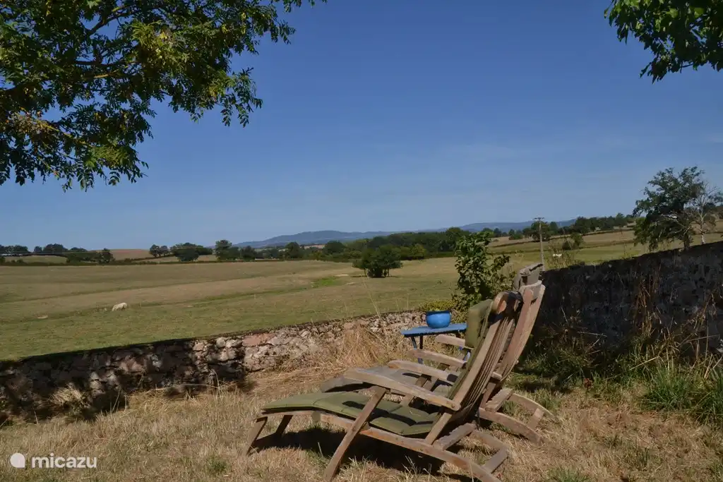 Liegestühle im Garten.