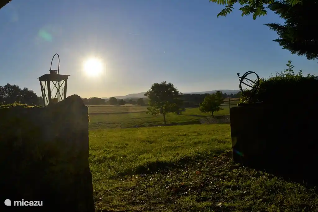 Ein Sommerabend im Garten