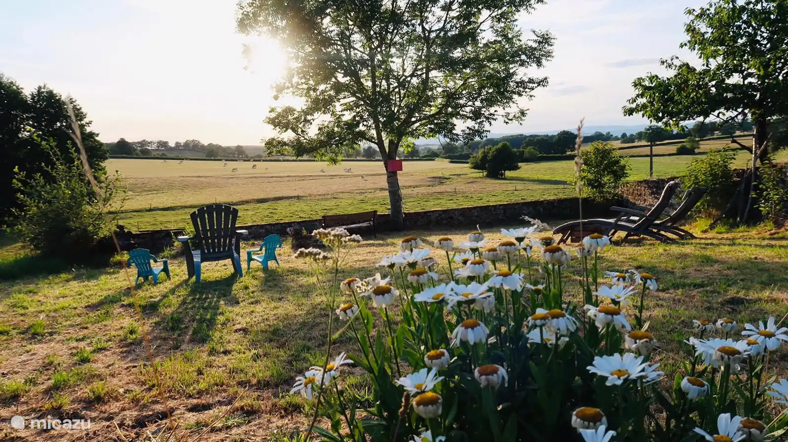 Sonnenliegen mit Gartenblick