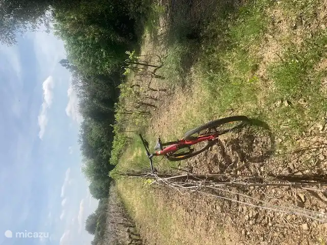 Die Gegend eignet sich auch sehr gut für Radsportbegeisterte.