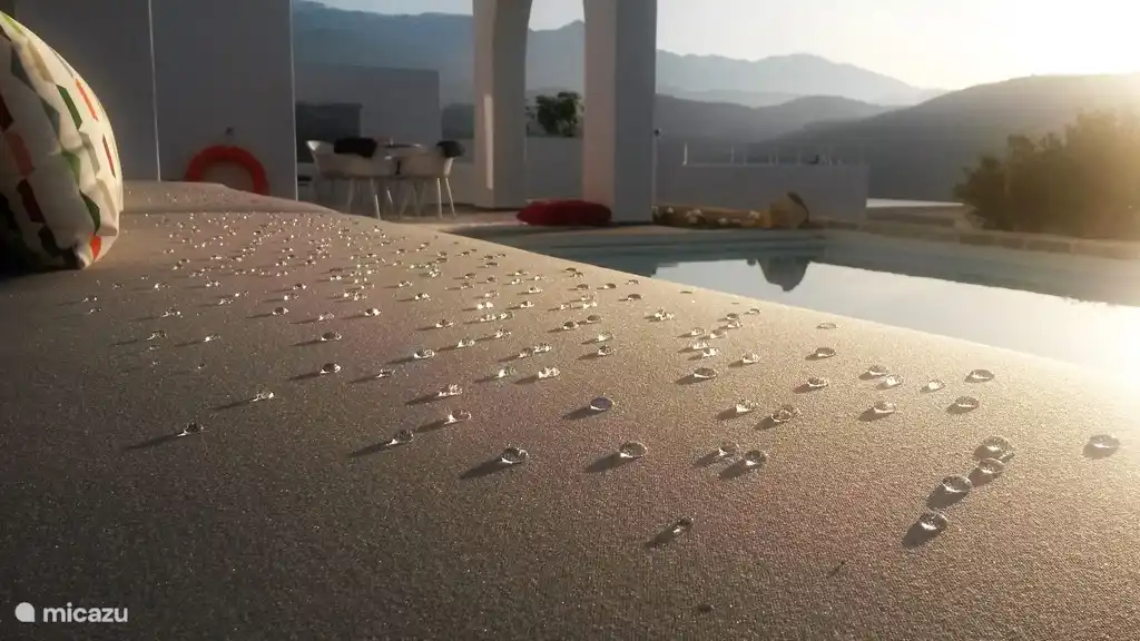 Dauw in de vroege najaars-ochtendzon