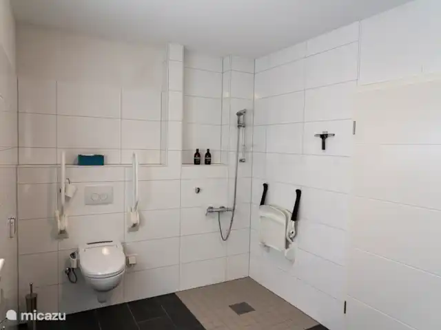 villa en Alemania, Hunsrück, Morbach – Villa Mosela Baño adaptado para discapacitados en el dormitorio principal