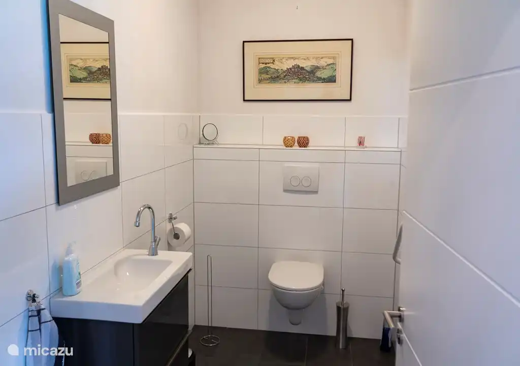 Centraal toilet, ook geschikt voor rolstoelgebruikers