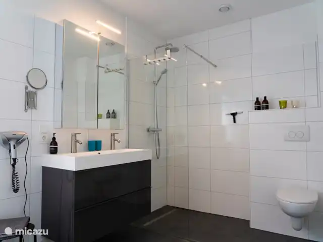 villa en Alemania, Hunsrück, Morbach – Villa Mosela Baño de visitas con ducha tipo lluvia, mueble de baño e hidromasaje.