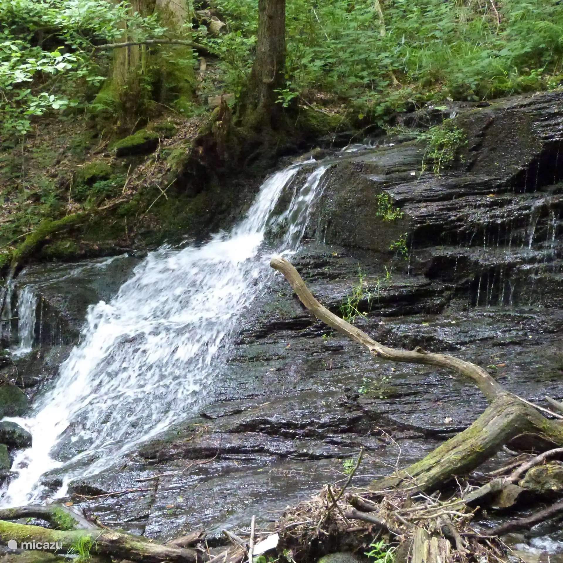 Wandeling Traumschleife Hunolsteiner Klammtour