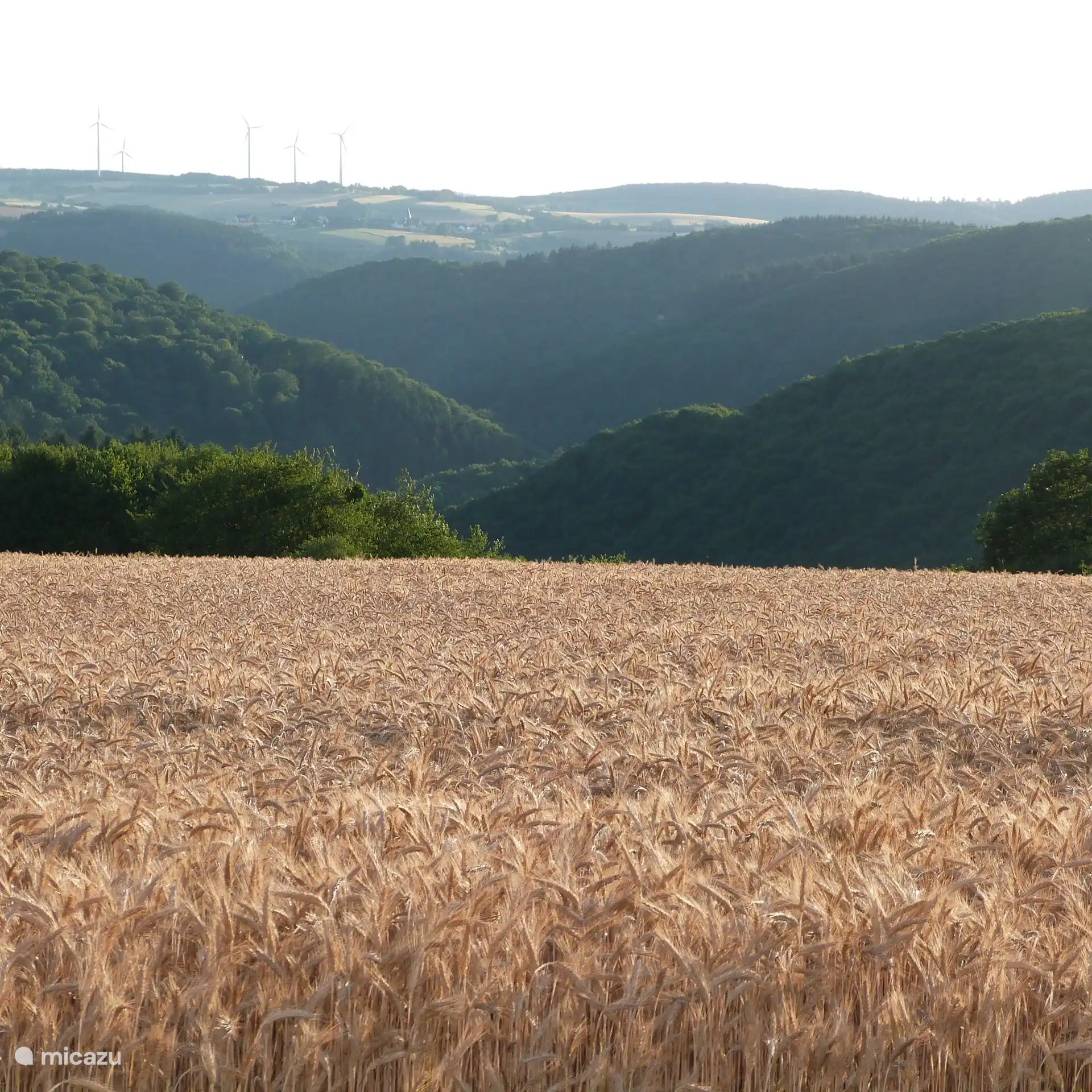 Omgeving van Hunolstein