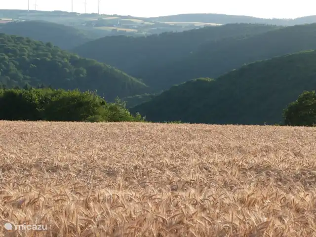 villa en Alemania, Hunsrück, Morbach – Villa Mosela Área de Hunolstein