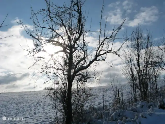 villa en Alemania, Hunsrück, Morbach – Villa Mosela Invierno en Hunolstein (2)