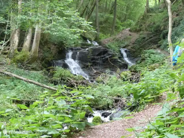 villa en Alemania, Hunsrück, Morbach – Villa Mosela Hunolsteiner Klammtour (4)