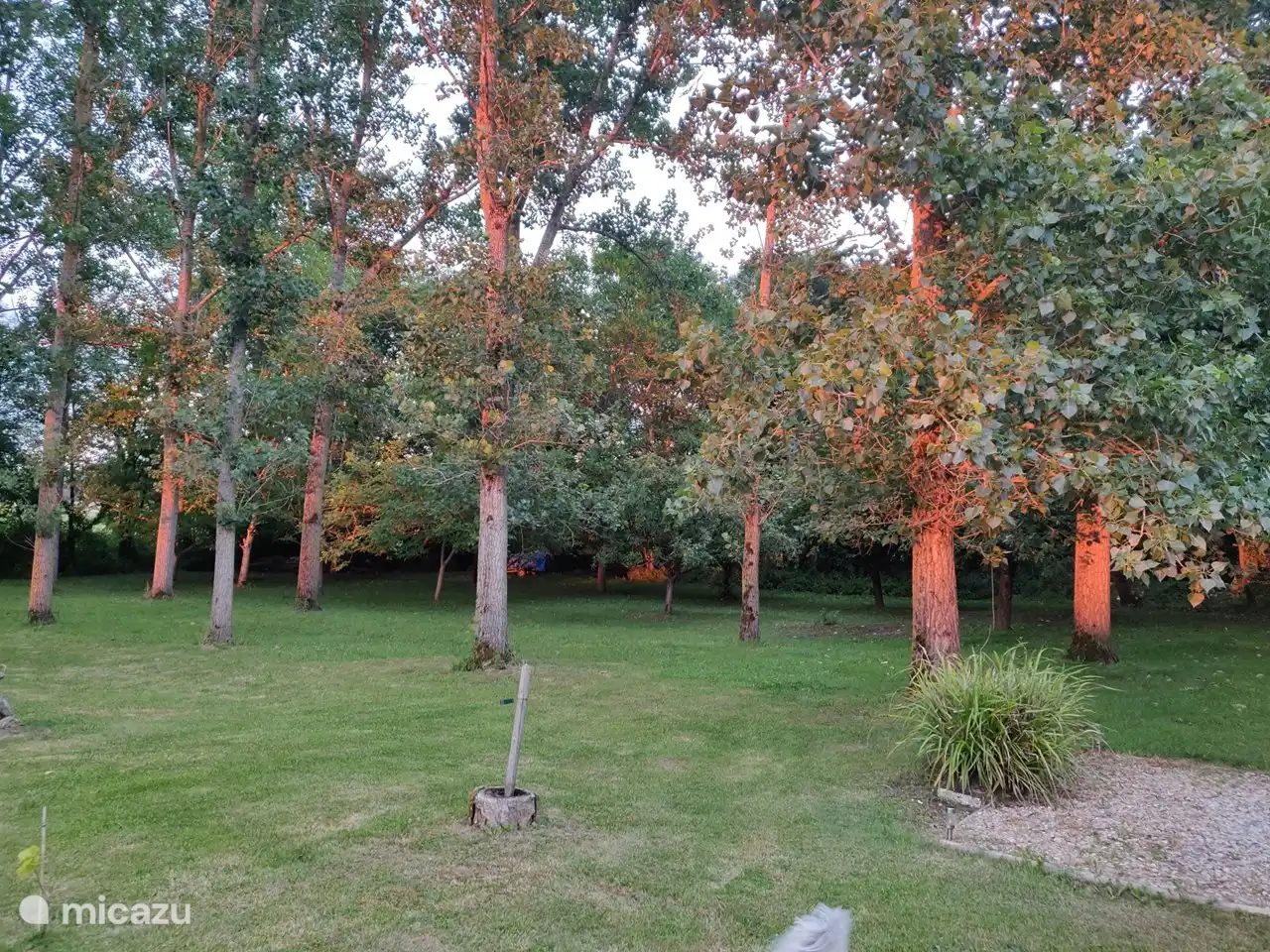 sunset in garden