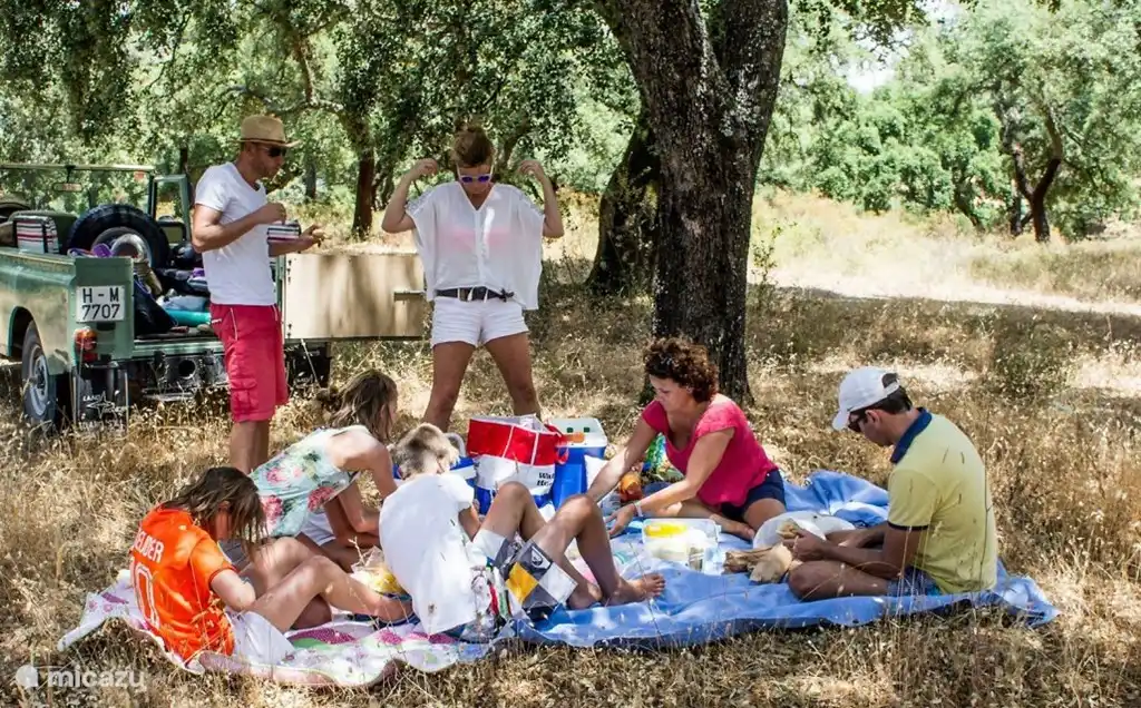 Met veel tips voor de leukste uitjes.