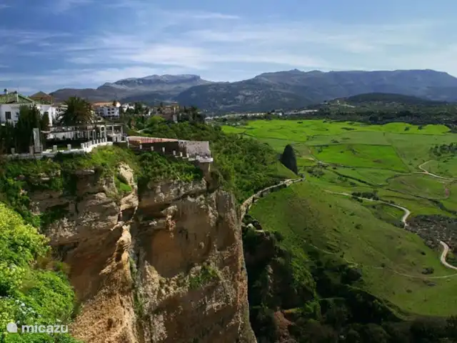 El Toro Blanco | Espagne, Andalousie, Ronda - finca Belle nature autour de la caractéristique Ronda.