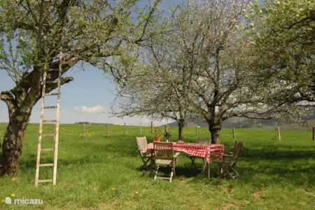 Vakantiehuis Frankrijk, Nièvre, Larochemillay gîte / cottage Maison Le Ruault boomgaard