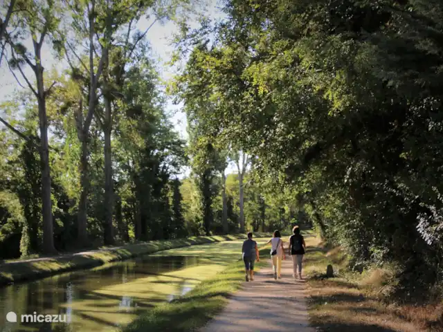 Maison des Cerises / Les Bergeries huren in Frankrijk, Allier, Saint-Bonnet-Tronçais - vakantiehuis Fijne wandel- en fietspaden langs het Canal de Berry, dat verbindt allerlei bezienswaardigheden, zoals kastelen, abdij en mooie plaatsen.
